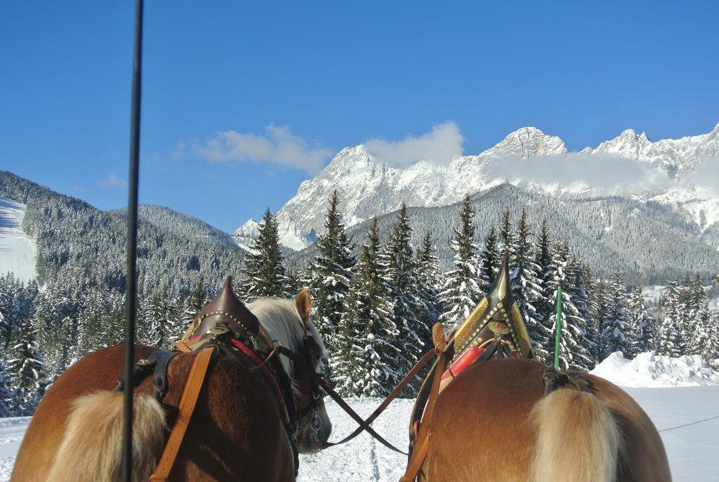 Affittacamere Bergpracht